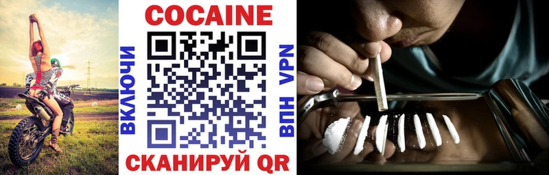 это официальный сайт  Зеленогорск  COCAIN Fish Scale 