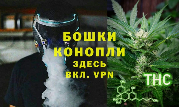 прущие грибы Нефтекумск