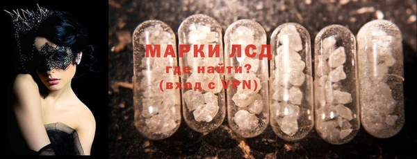 прущие грибы Нефтекумск