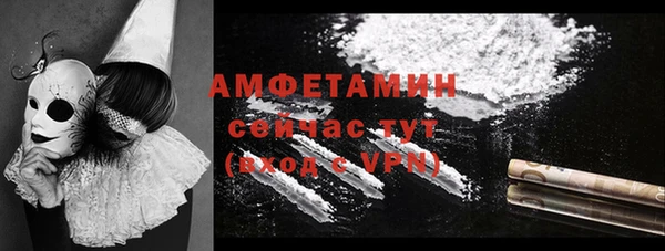 прущие грибы Нефтекумск