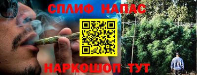 a pvp Гай