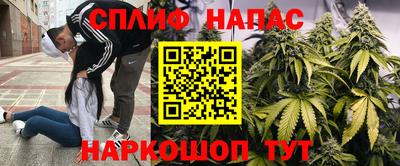 стаф Берёзовский