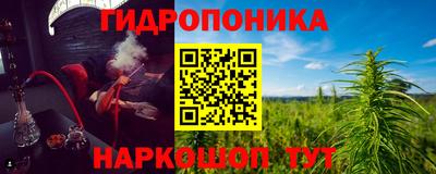 стаф Берёзовский