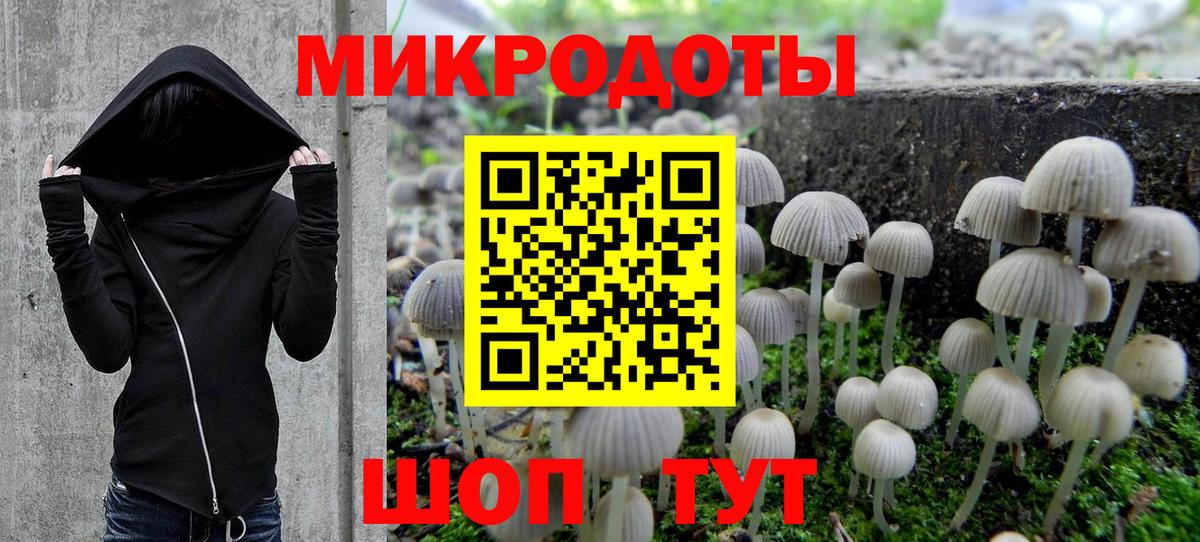 Галлюциногенные грибы Psilocybine cubensis  Вход с VPN  Псилоцибиновые грибы Cubensis  Зеленогорск 